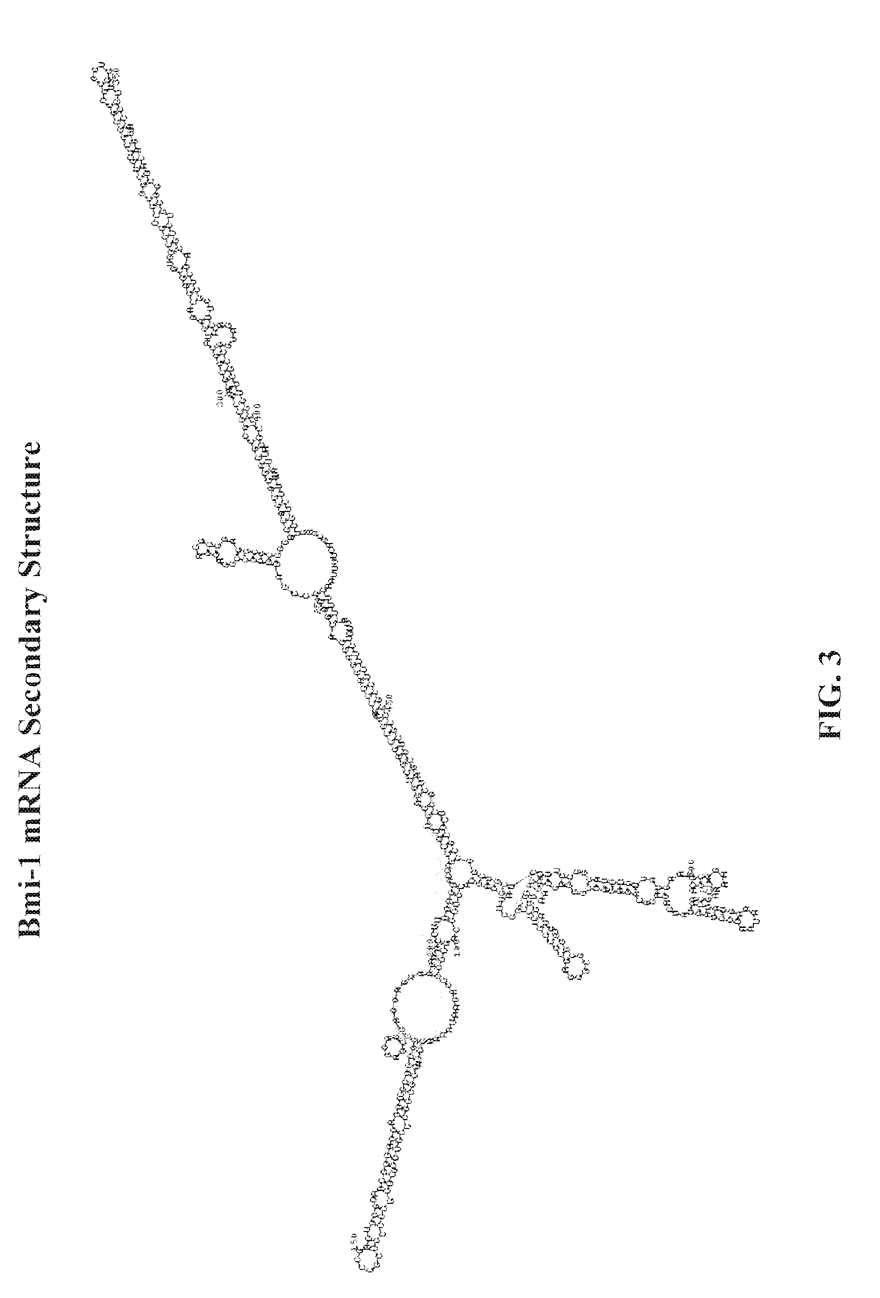 Methods for screening for compounds for treating cancer