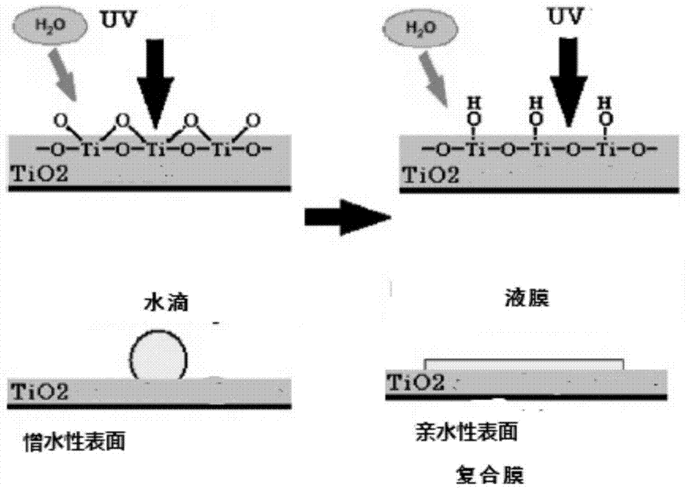 Preparation method of hydrophilic polyethersulfone microfiltration membrane