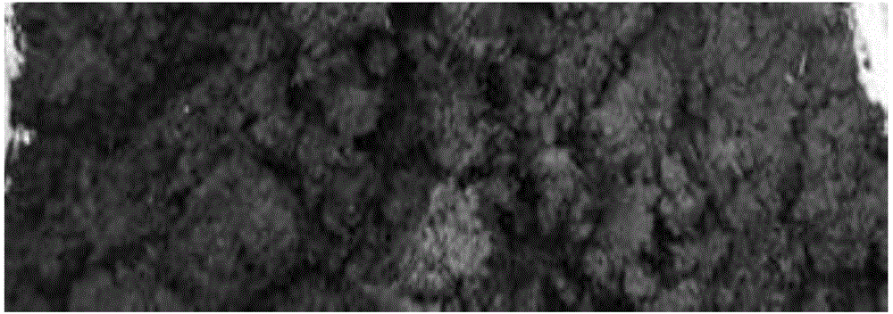 Earthworm culture medium and preparation method thereof and earthworm culture method