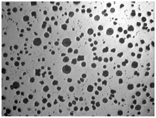 Nodular cast iron section bar capable of improving fracture toughness and technology