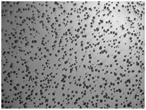 Nodular cast iron section bar capable of improving fracture toughness and technology