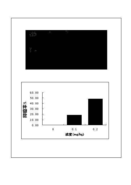 Application of cucurbitacin B and analogs thereof in preparation of drugs for treating endometrial cancer