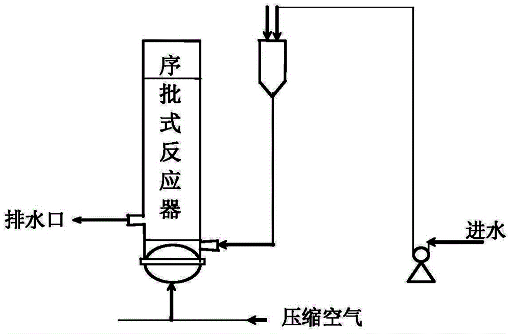 Aerobic granular sludge culture method