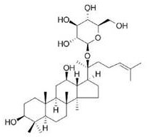 Composition comprising dehydroabietic acid and compound k for skin anti-aging