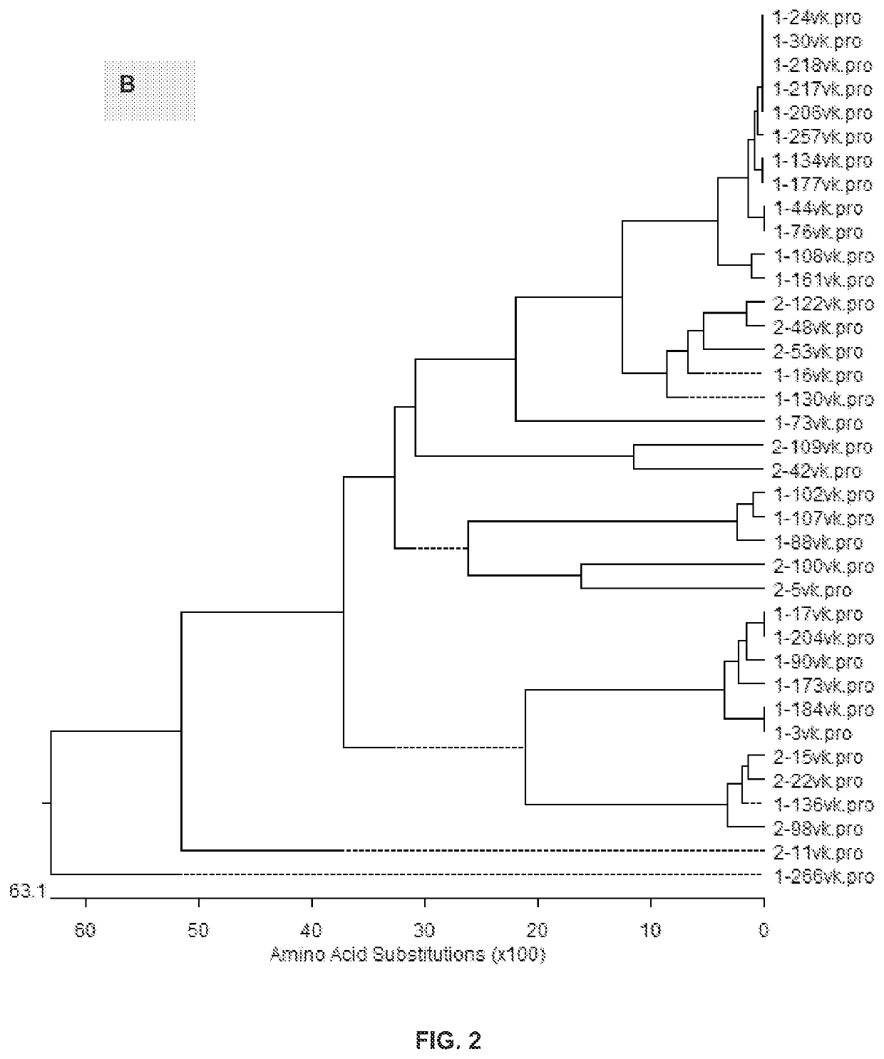 Anti-tigit antibodies and their use as therapeutics and diagnostics