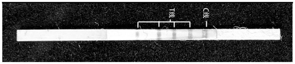 Test strip for semi-quantitatively detecting amantadine and preparation method and application of test strip