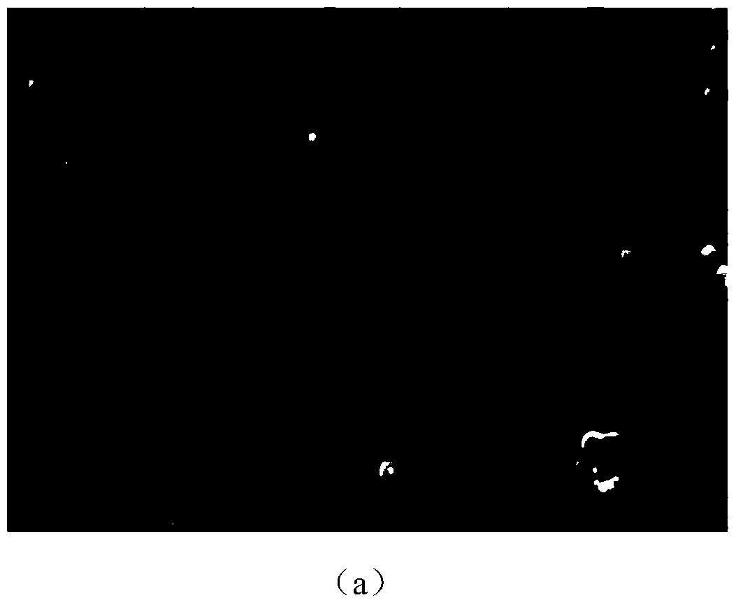 Titanium dioxide mesoporous layer of a double-size nano network and preparation method thereof