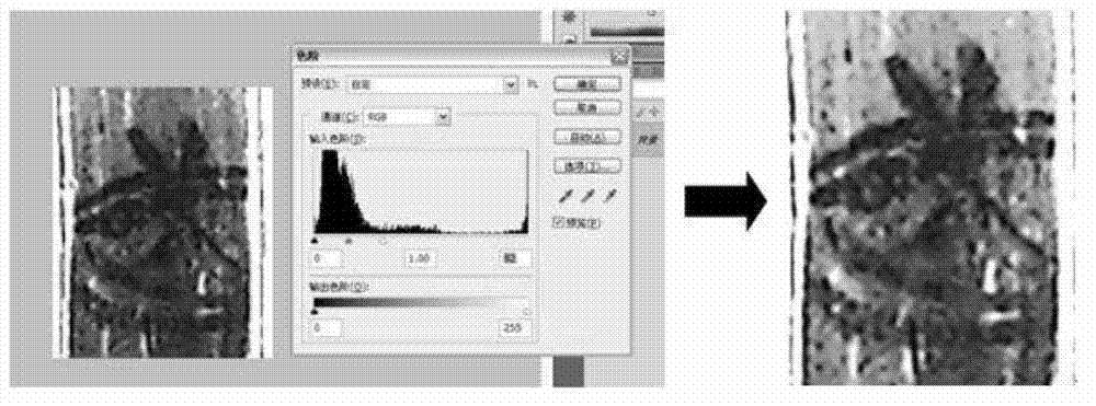 Method used for extracting unearthed bamboo slip and silk character pattern image and based on digital image processing