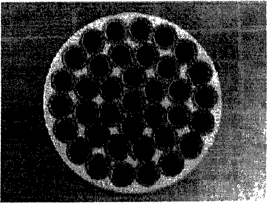 Separation membrane-porous material composite and method for manufacturing the same