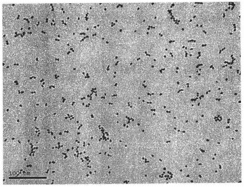 Prepration method of Pt/TiO2 compound catalyst for low temperature combustion of methanol