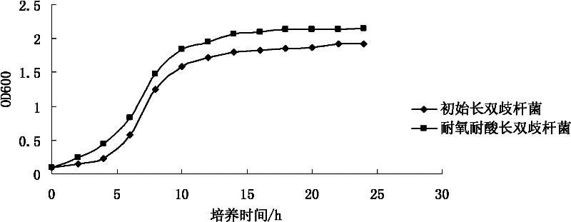 Oxygen-resistant acid-resistant Bifidobacterium longum