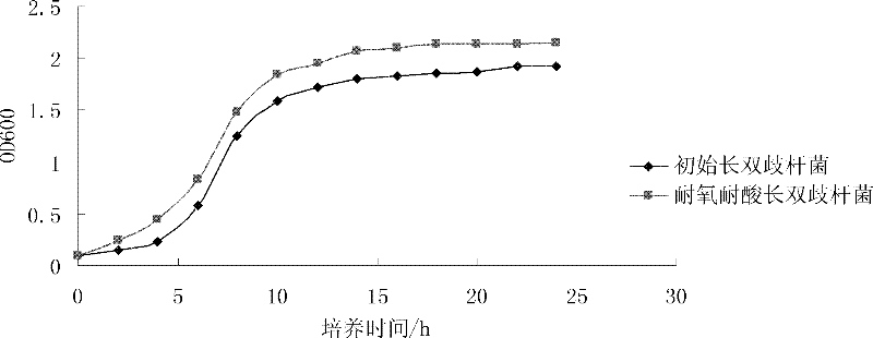 Oxygen-resistant acid-resistant Bifidobacterium longum