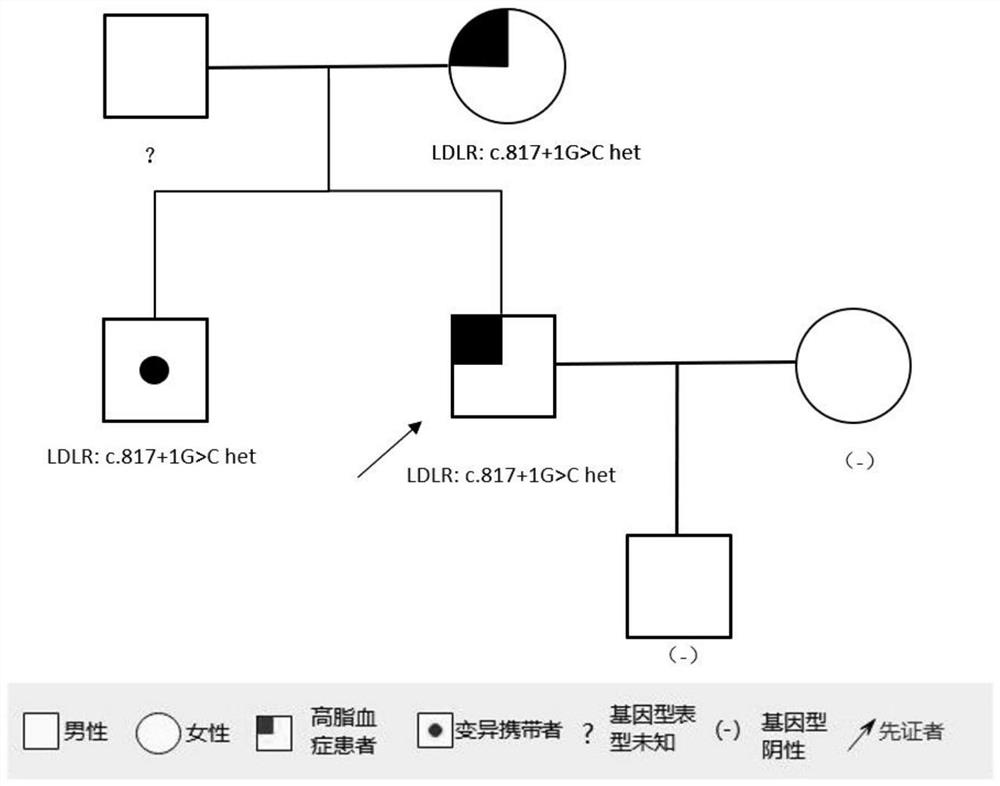 Familial hypercholesterolemia related gene and its detection kit and application