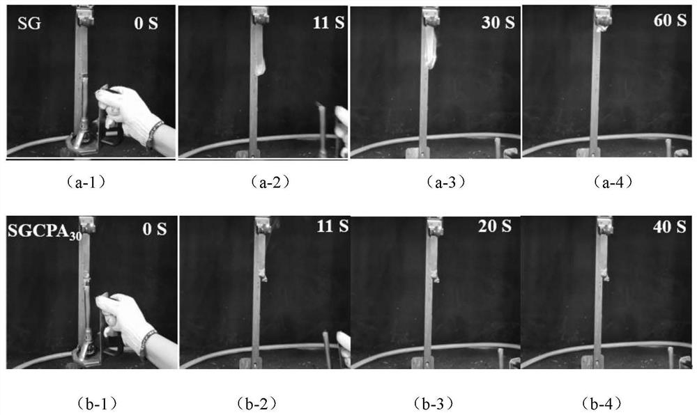 Choline phytate flame retardant, preparation method and application thereof in the preparation of flame retardant thermoplastic starch