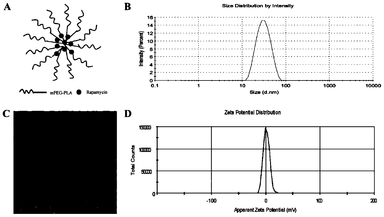 Rapamycin nano slow-release agent and preparation method thereof