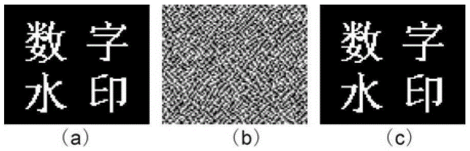 A Digital Video Watermarking Method Using Kinoform