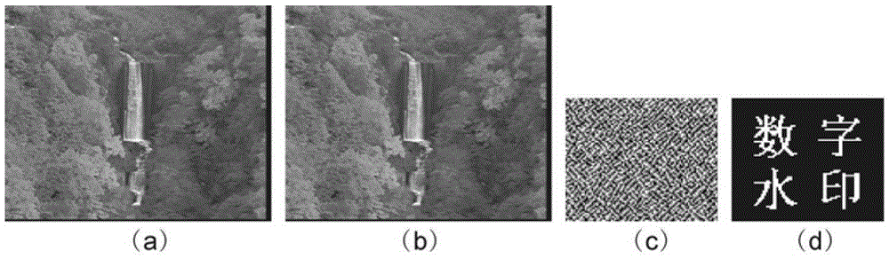 A Digital Video Watermarking Method Using Kinoform