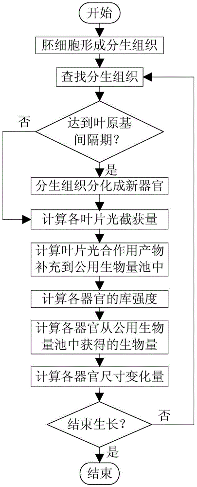 Rice plant type quantitative control method integrating crop virtual growth model