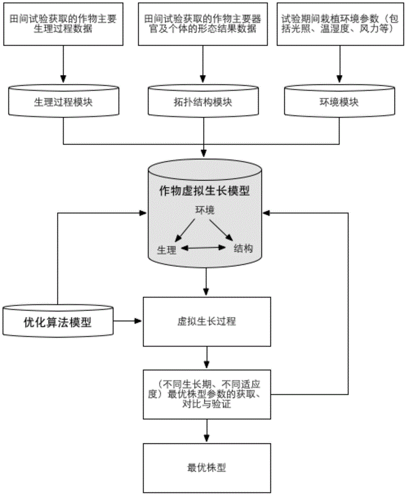 Rice plant type quantitative control method integrating crop virtual growth model