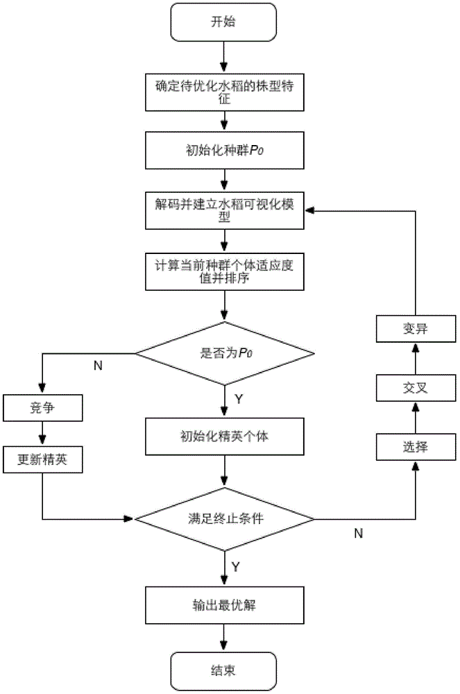 Rice plant type quantitative control method integrating crop virtual growth model