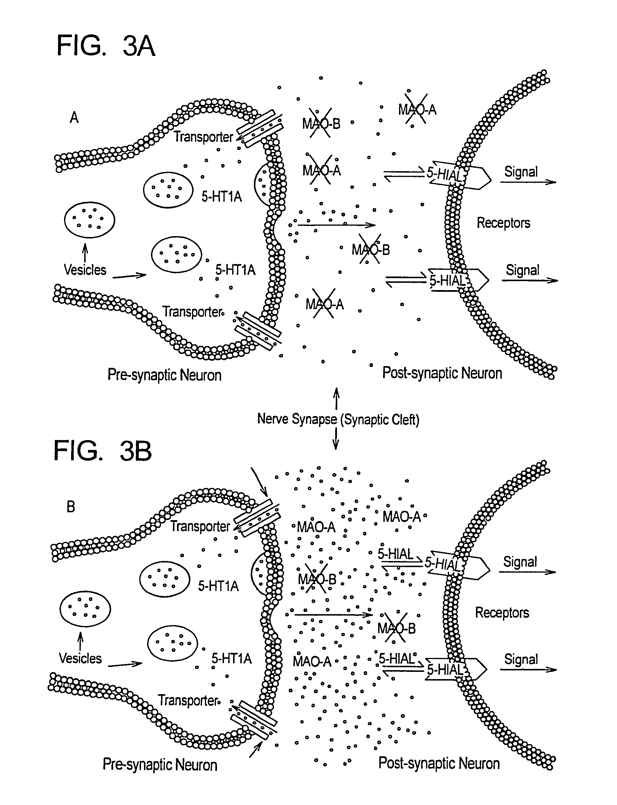 Method for treatment of neurologic dysfunction