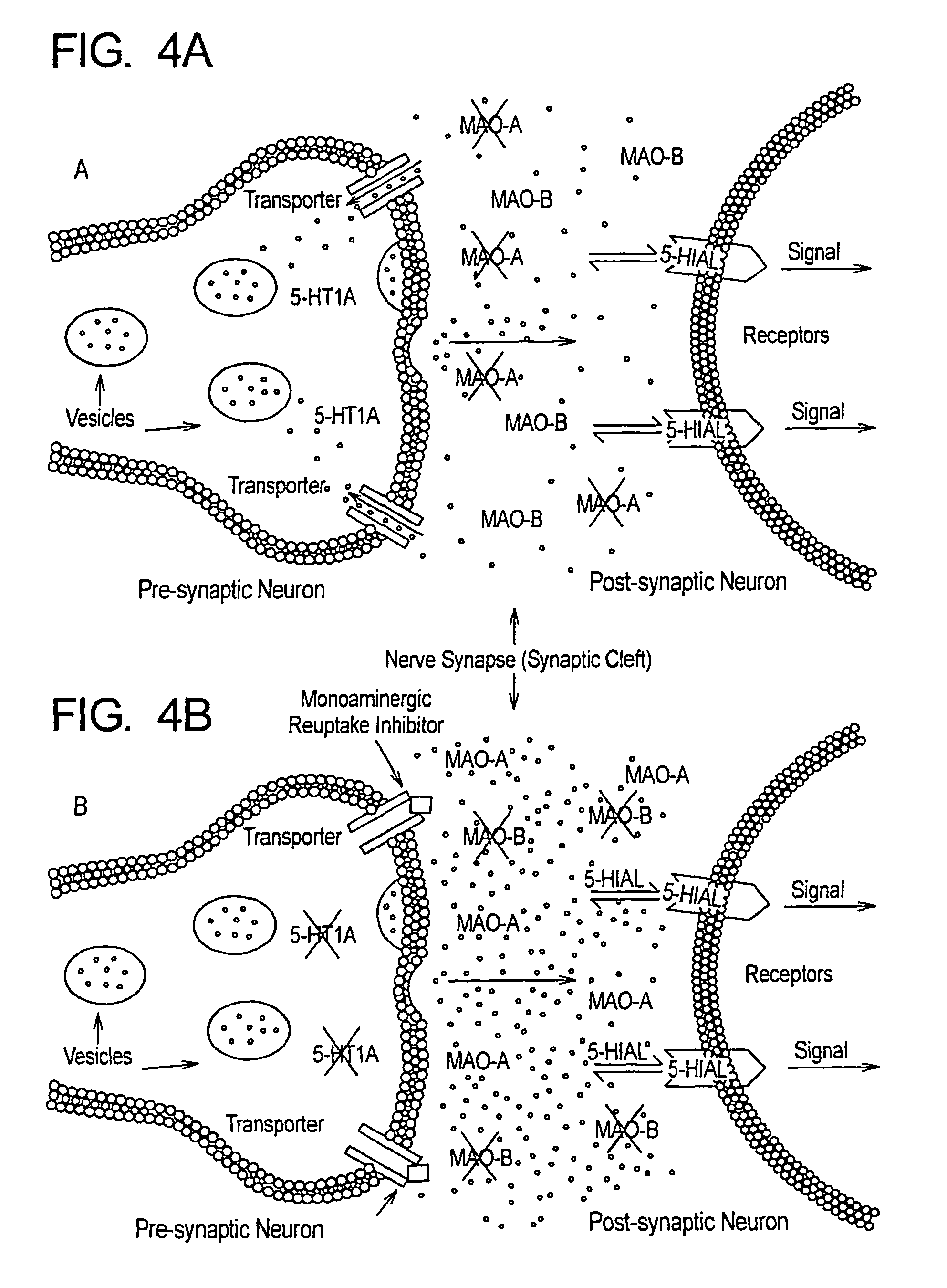 Method for treatment of neurologic dysfunction