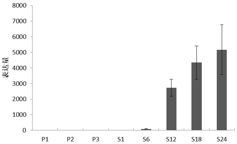 A seed-specific interference vector comprising postip3-1 promoter and its application