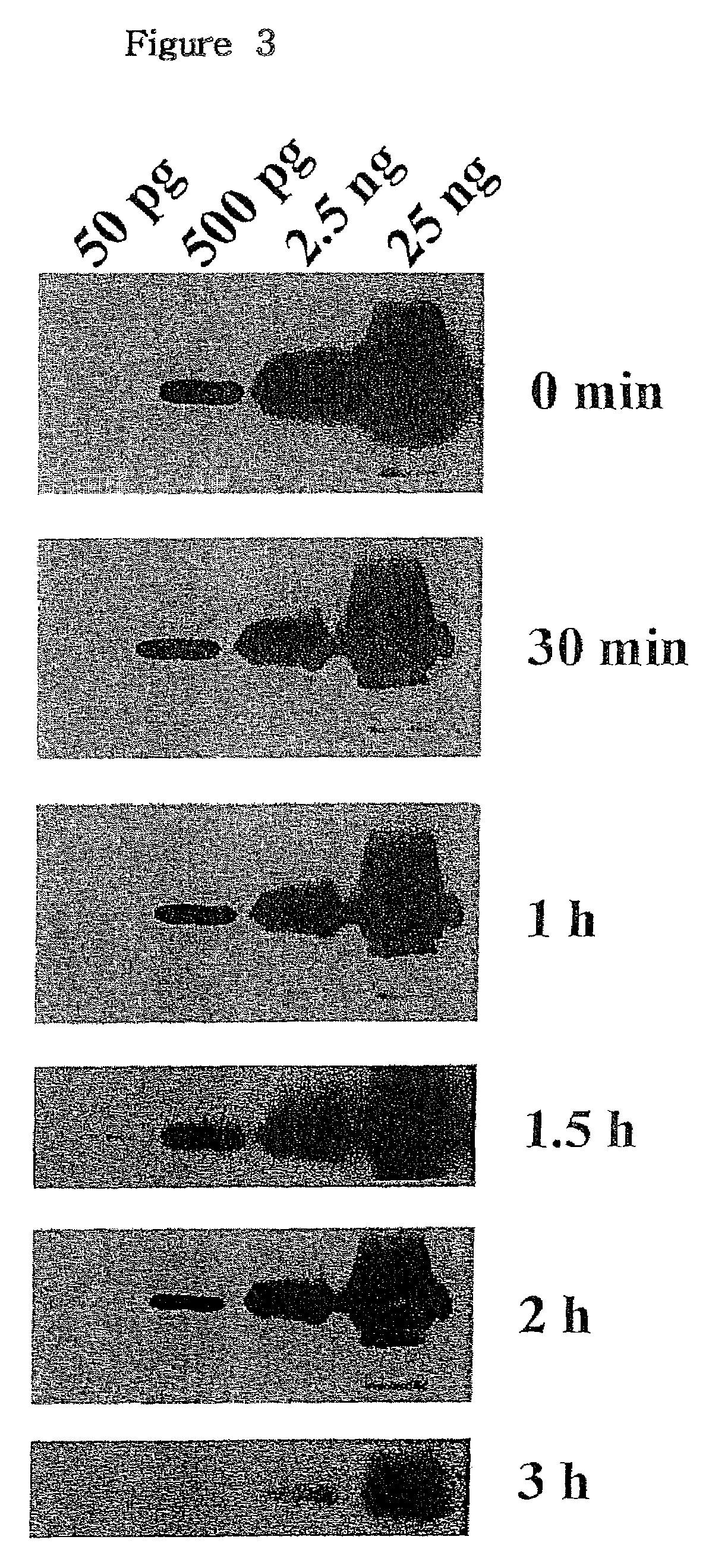 Method for improving chemiluminescent signal