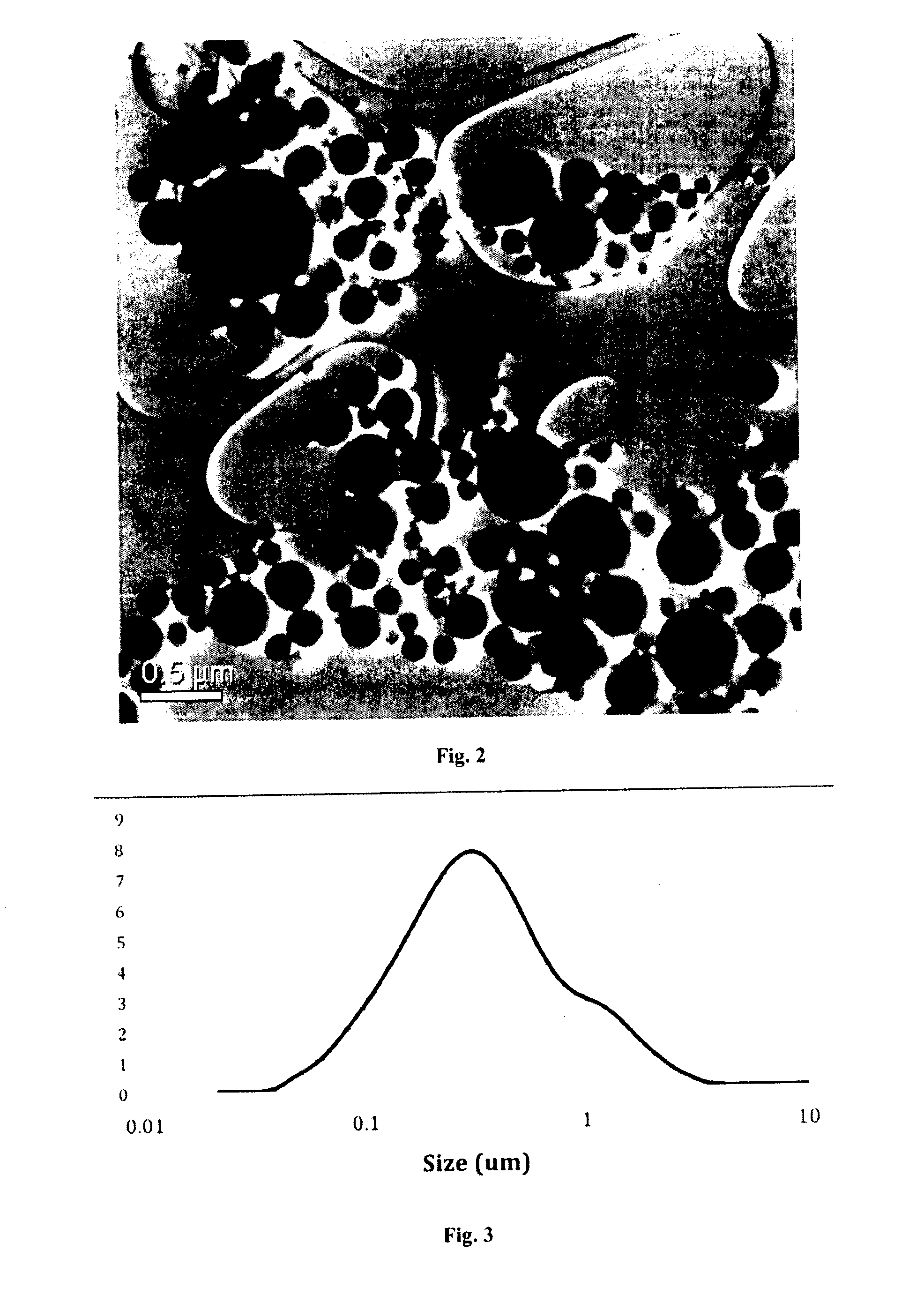 Particulate substances comprising ceramic particles for delivery of biomolecules