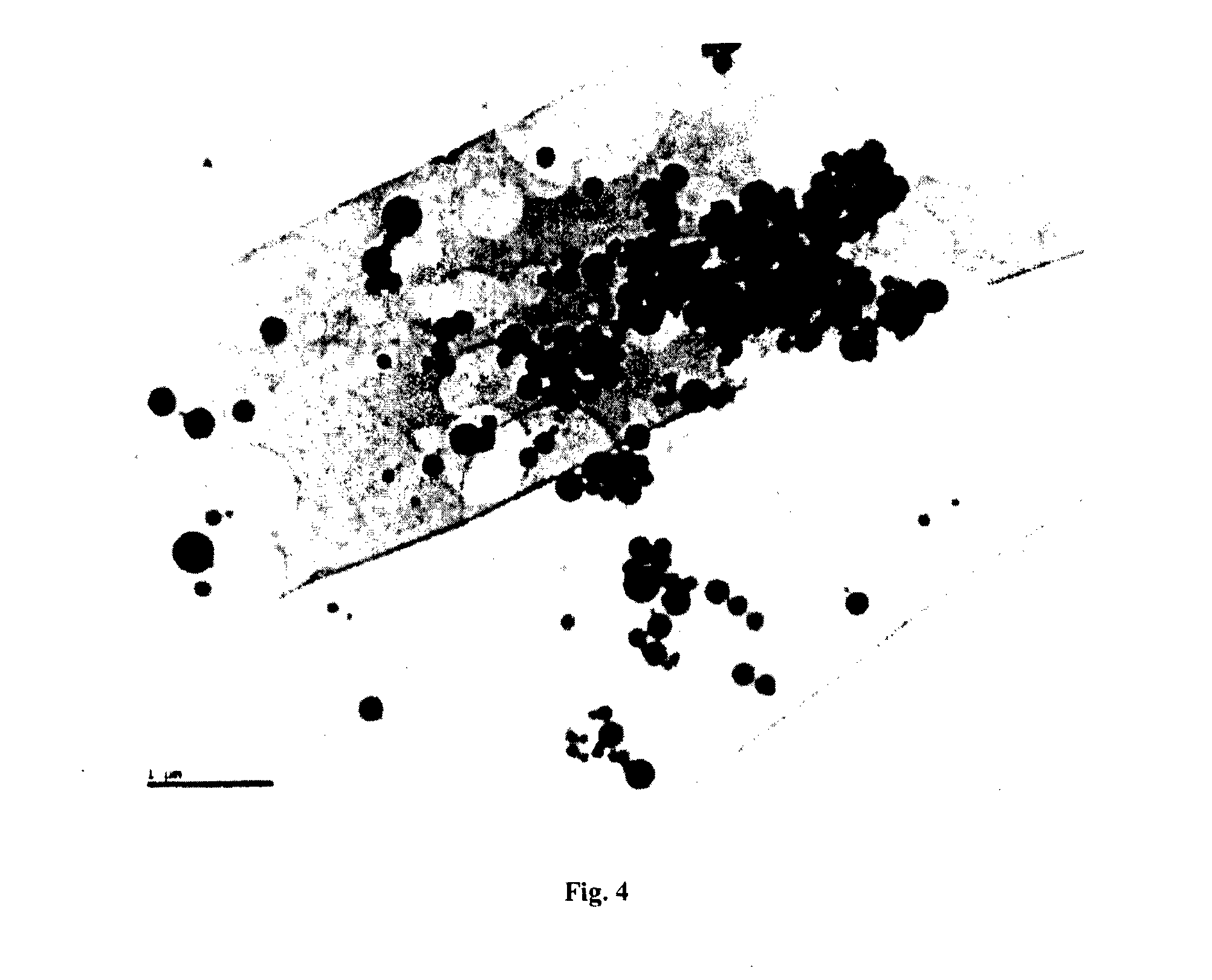 Particulate substances comprising ceramic particles for delivery of biomolecules