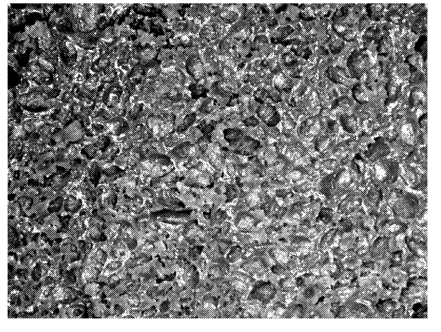 Slip resistant gloves and method for producing the same