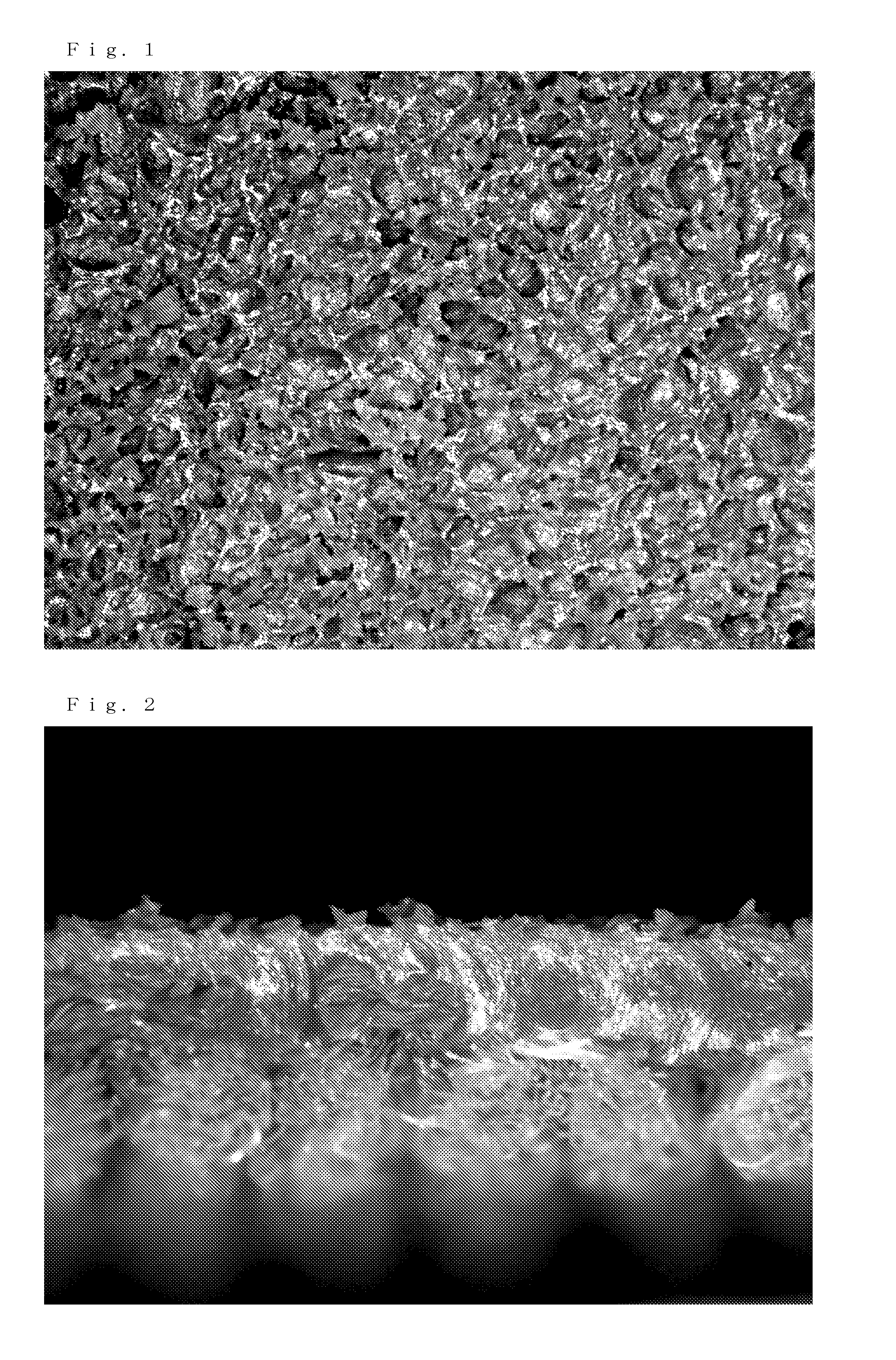 Slip resistant gloves and method for producing the same