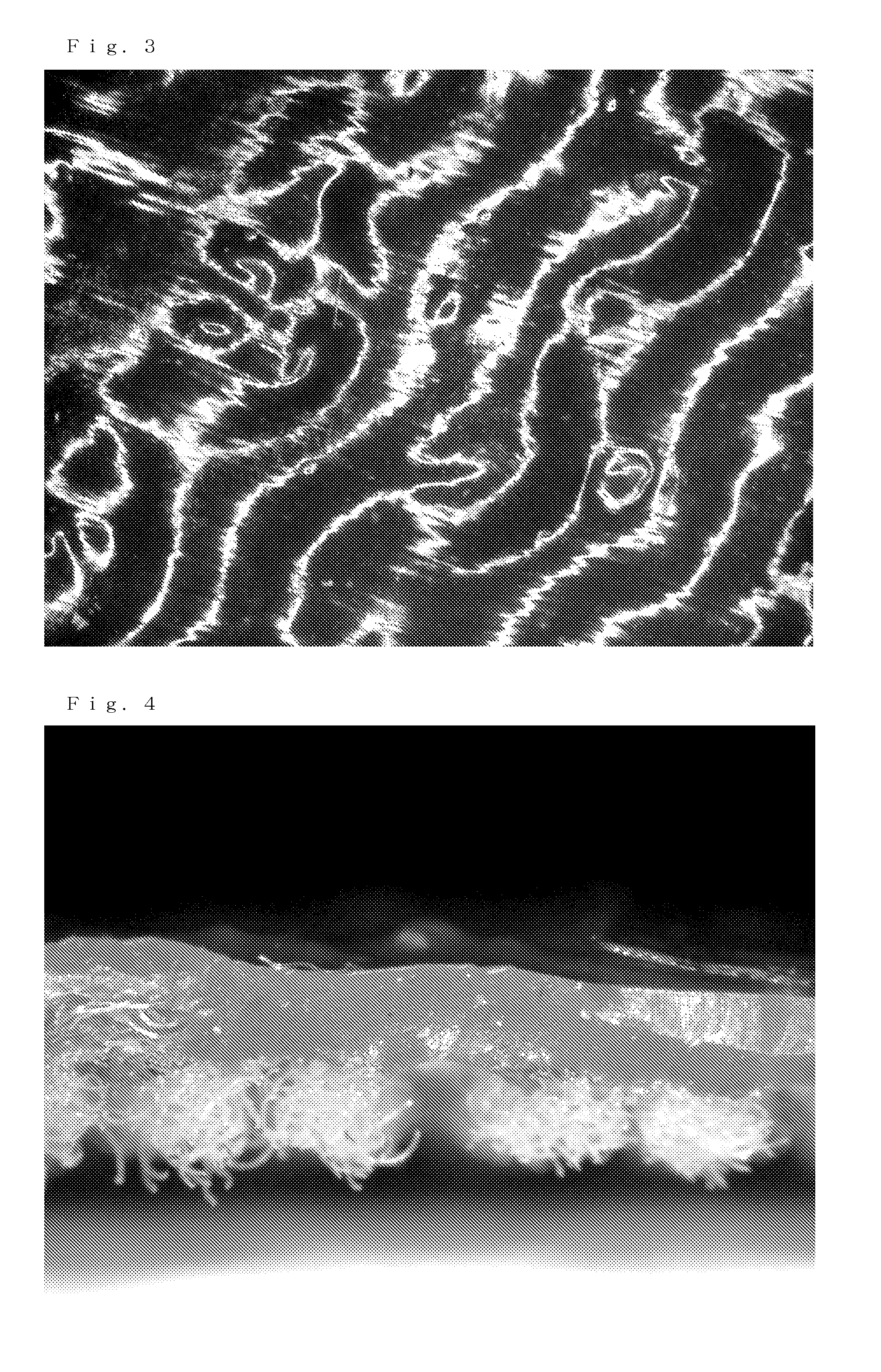 Slip resistant gloves and method for producing the same