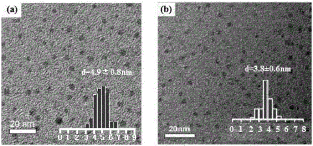 Perovskite quantum dot gel and preparation method thereof