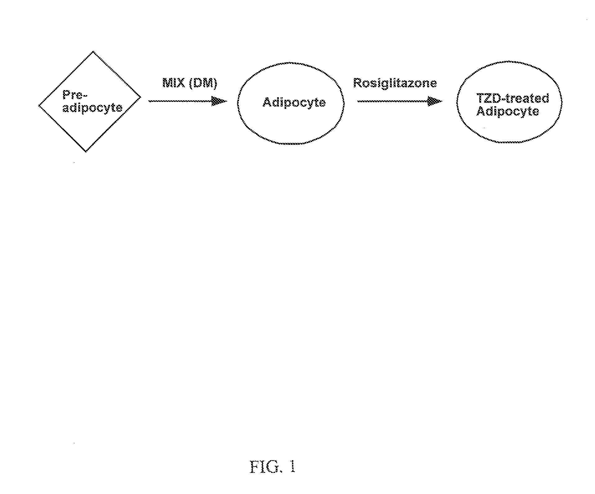 Compositions, methods and kits relating to resistin