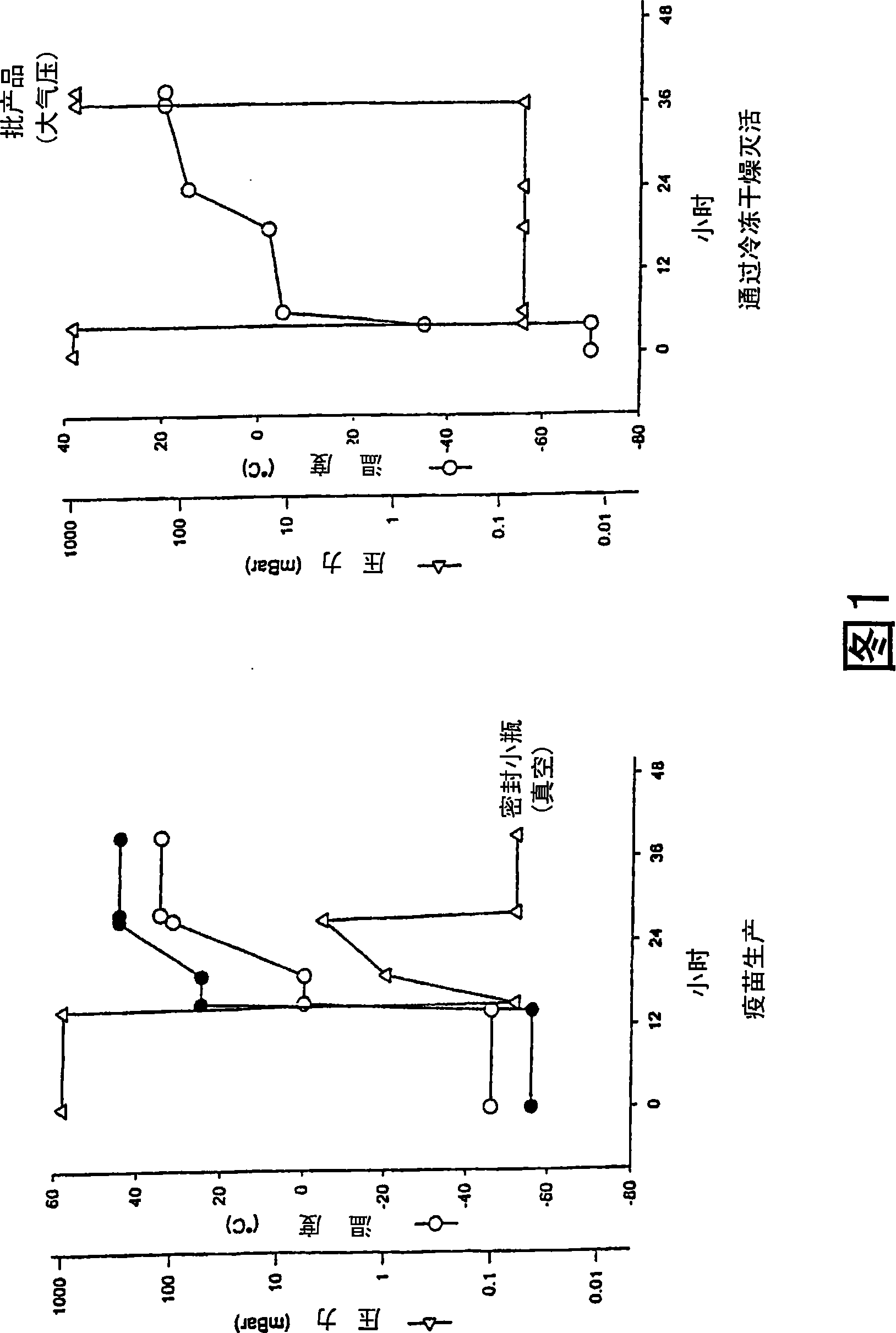 Gram positive bacteria preparations for the treatment of diseases comprising an immune dysregulation