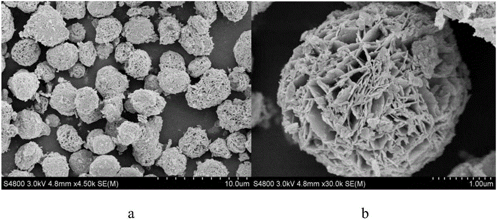 A kind of eu loaded bi2wo6 porous microsphere with good dispersibility and its preparation method and application