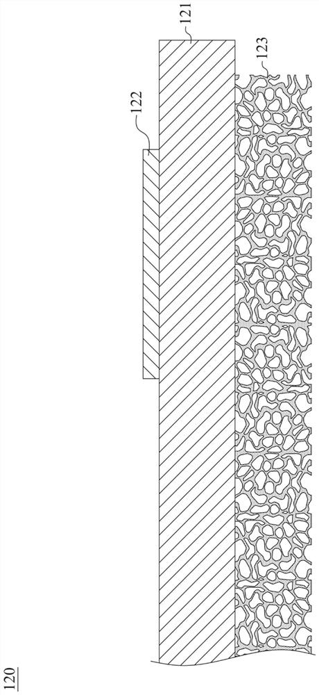 Wavelength conversion element and light source module