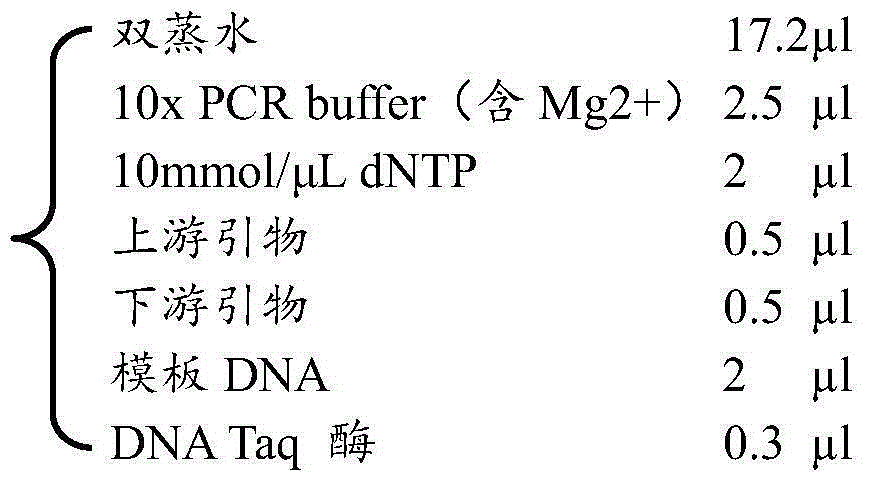 Preparation method of gosling plague inactivated vaccines as well as prepared inactivated vaccines