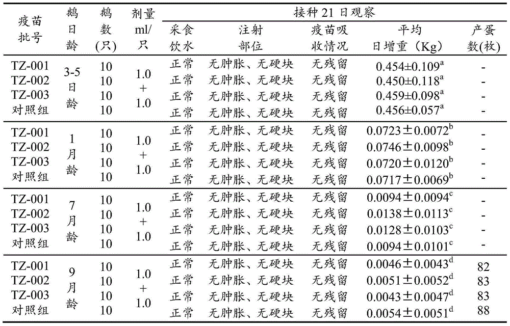 Preparation method of gosling plague inactivated vaccines as well as prepared inactivated vaccines