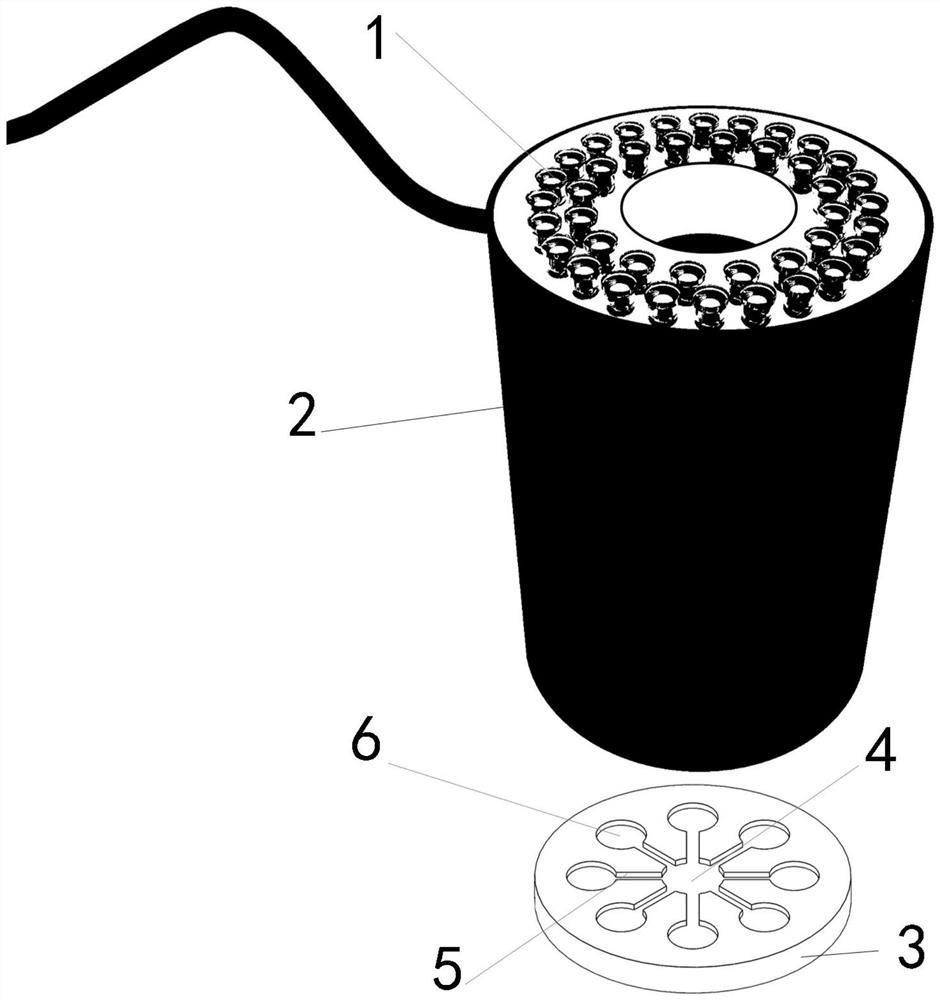 A portable microfluidic chip imaging system