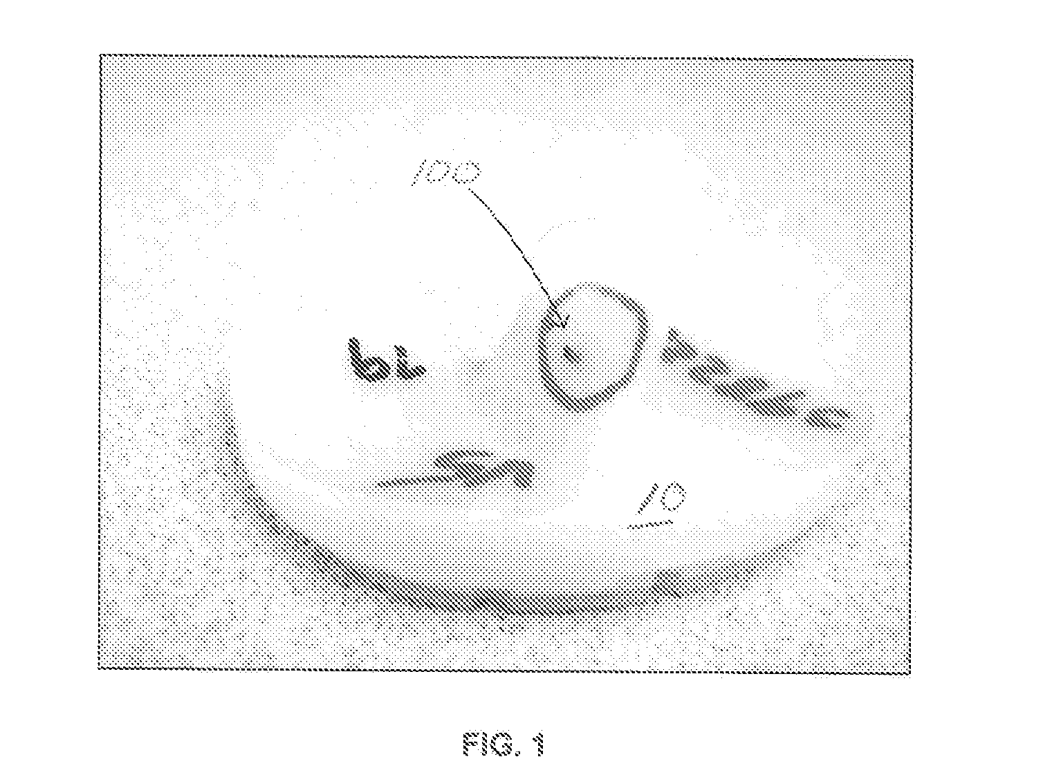 Process for removing contaminants from polymeric powders