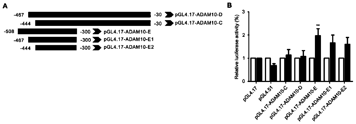 Application of vinblastine III in preparing medicine for preventing or treating Alzheimer's disease