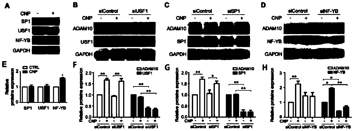 Application of vinblastine III in preparing medicine for preventing or treating Alzheimer's disease