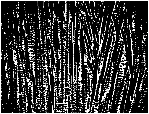 Etching agent showing solidified dendritic structure of fe‑36ni Invar alloy and its etching method