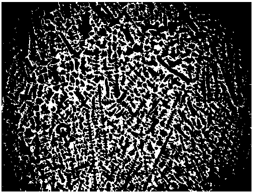 Etching agent showing solidified dendritic structure of fe‑36ni Invar alloy and its etching method