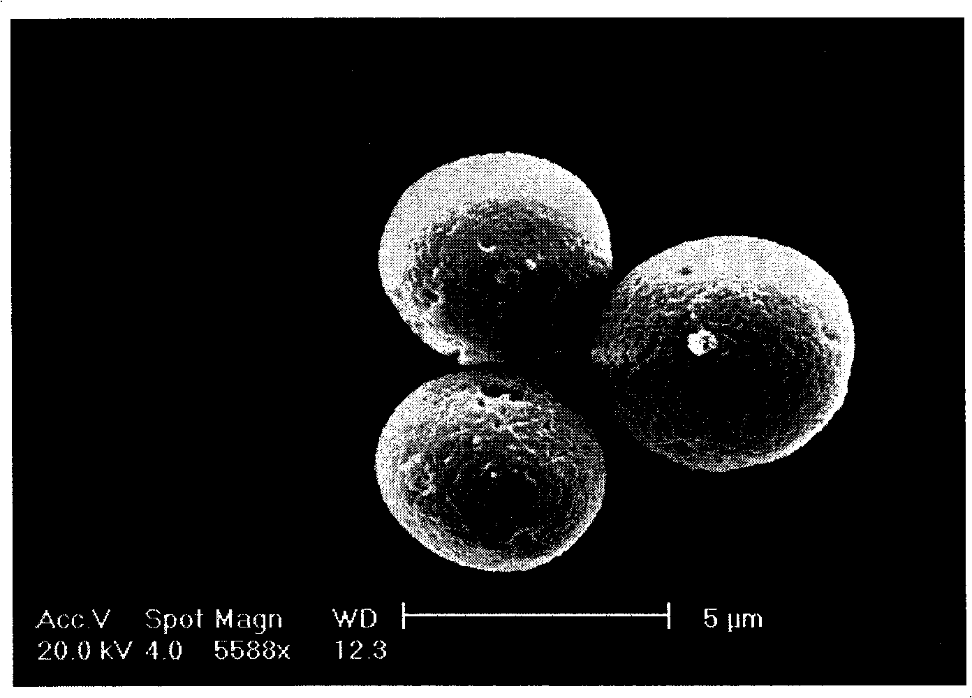 Preparation of fibrin magnetic micrometer material for separating mRNA and application thereof