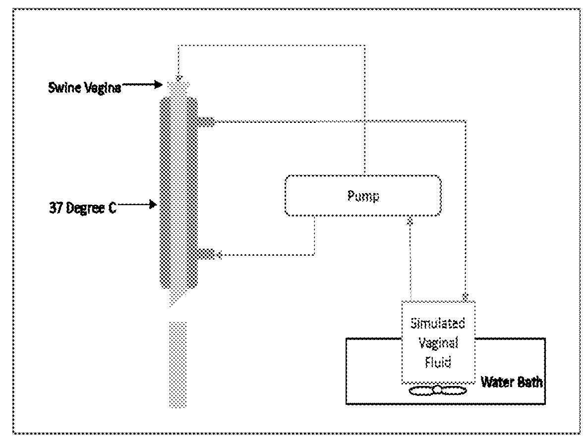 Vaginal Bioadhesive Boric Acid Formulation and Its Preparation Method