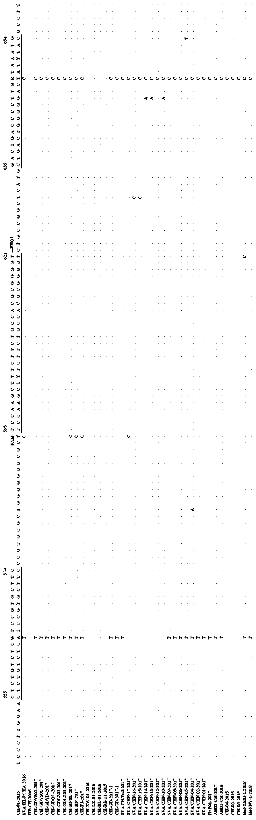 TaqMan probe-based Senecavirus A fluorescent quantitative RT-PCR (reverse transcription-polymerase chain reaction) detecting method and kit