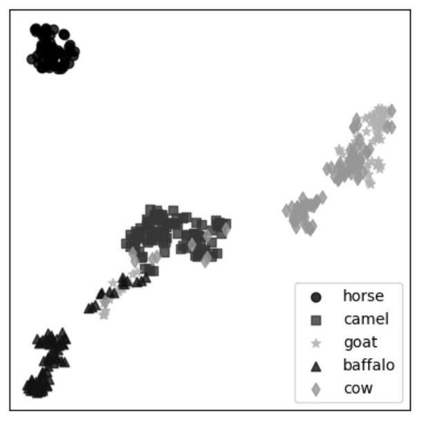 Spectral fingerprint identification method for milk, mare milk, camel milk, goat milk and buffalo milk